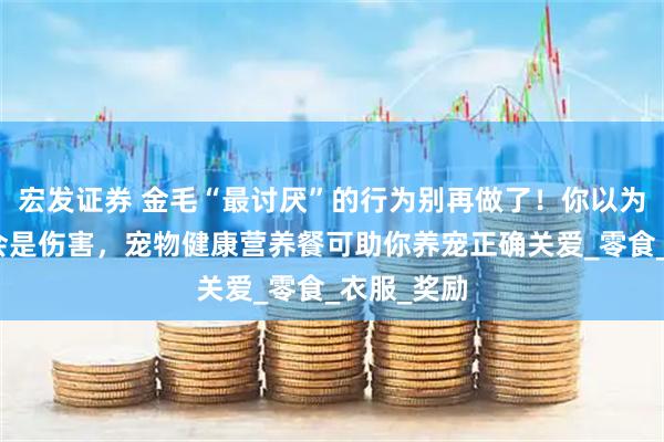 宏发证券 金毛“最讨厌”的行为别再做了！你以为的爱可能会是伤害，宠物健康营养餐可助你养宠正确关爱_零食_衣服_奖励